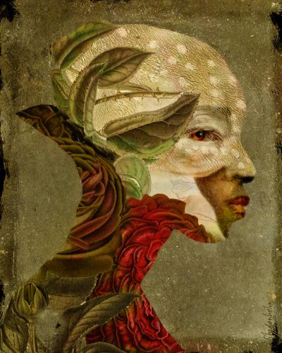 Collage by Kendra Shedenhelm