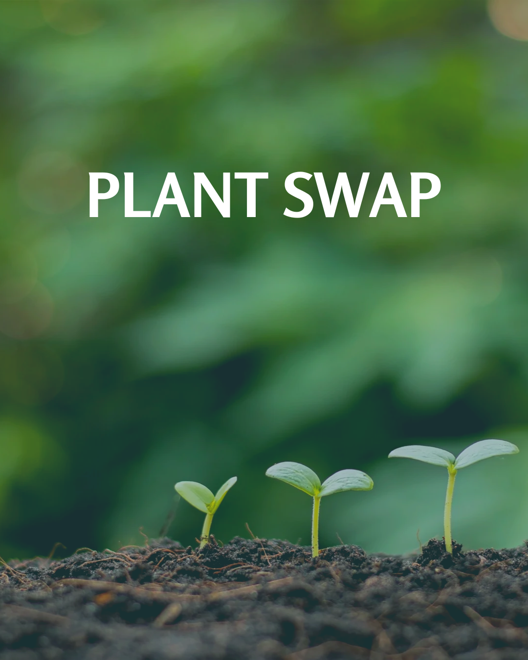 plant swap