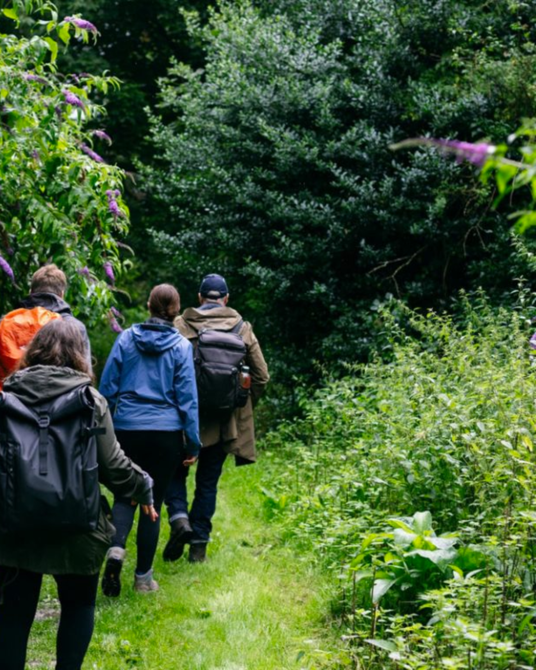 people walking through green foliage
